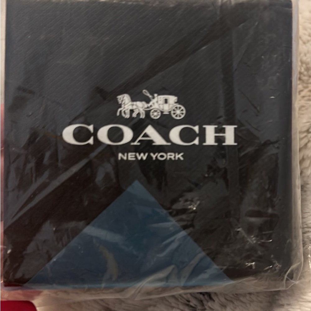 Brand New Coach chain and earrings.